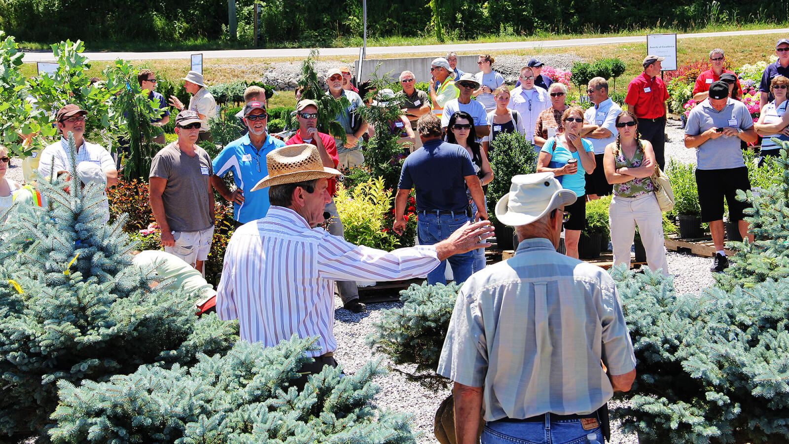 Auction in wine country raises over $20,000 to help industry