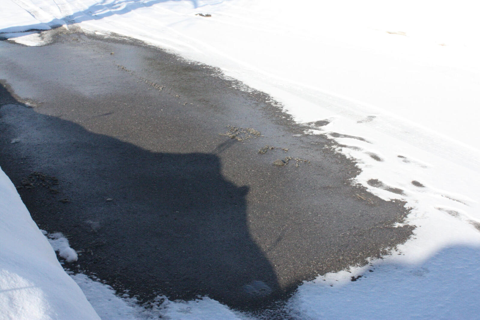 What are Alternatives to Rock Salt for Melting Ice on Driveways?