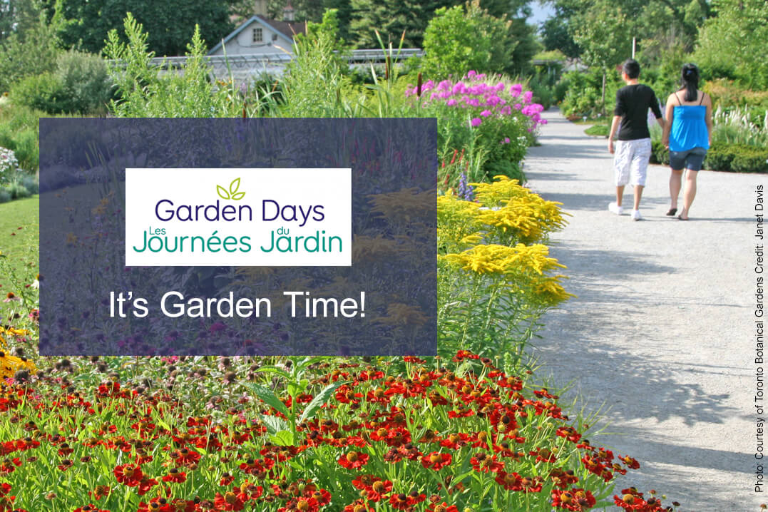 Garden Days 2020