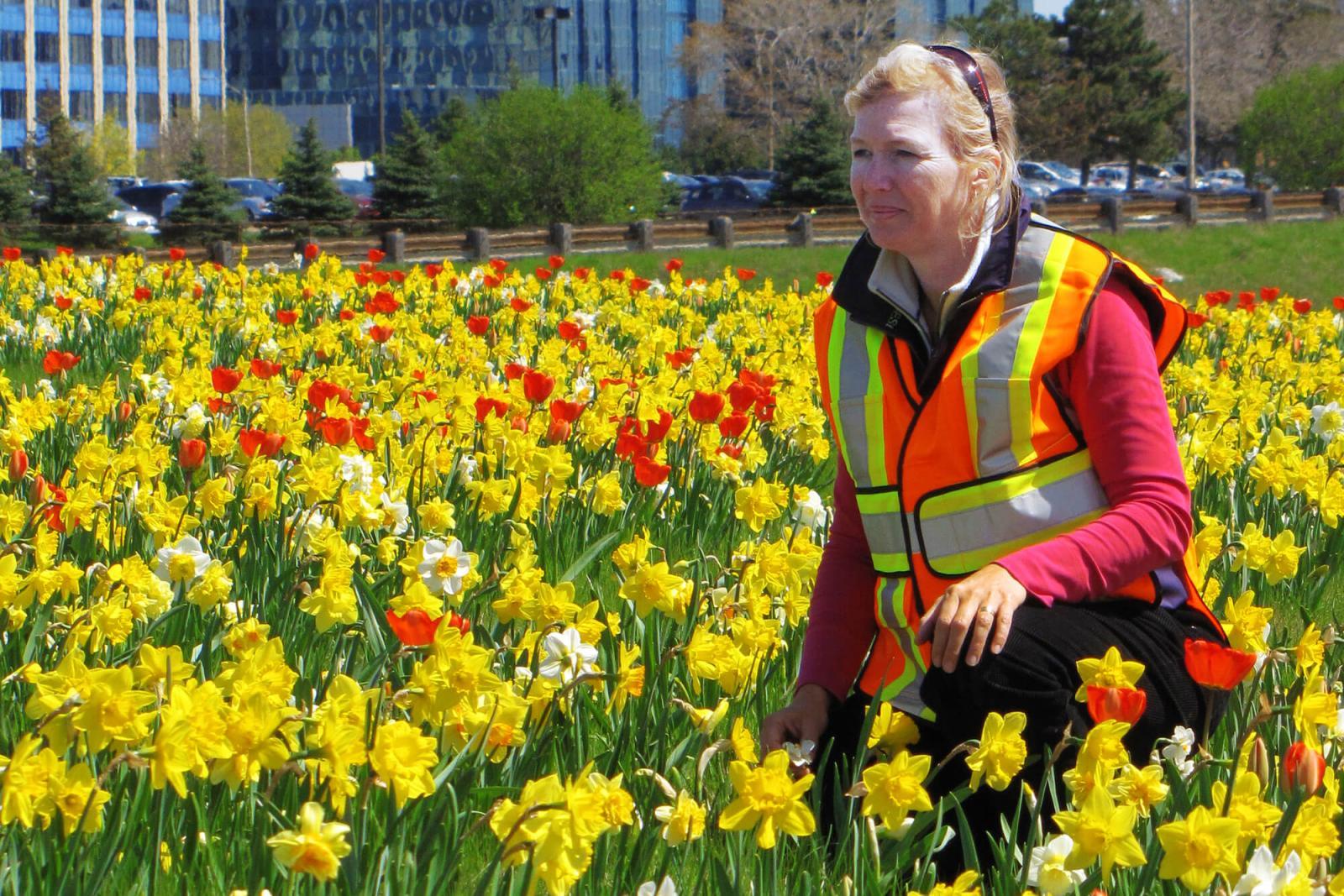 Caroline de Vries takes on the task of planting spring flowers beside busy highways.