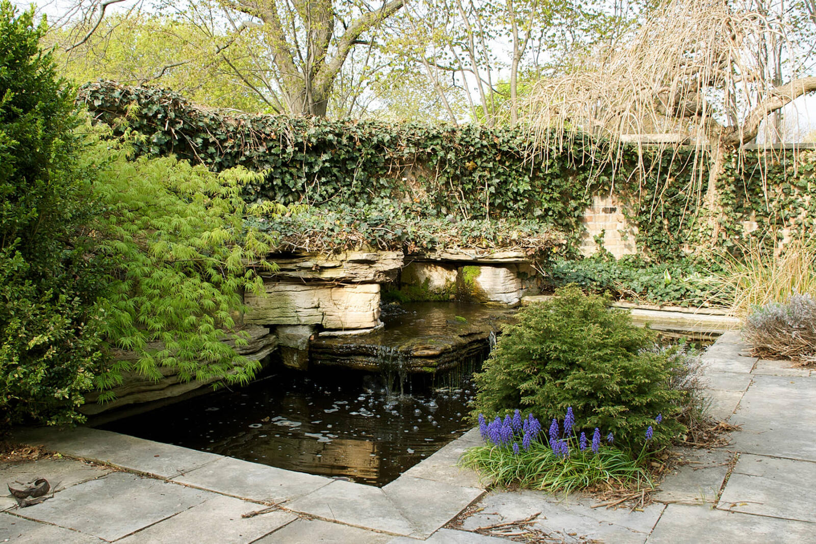 Cuddy Gardens opens for public tour - Landscape Ontario