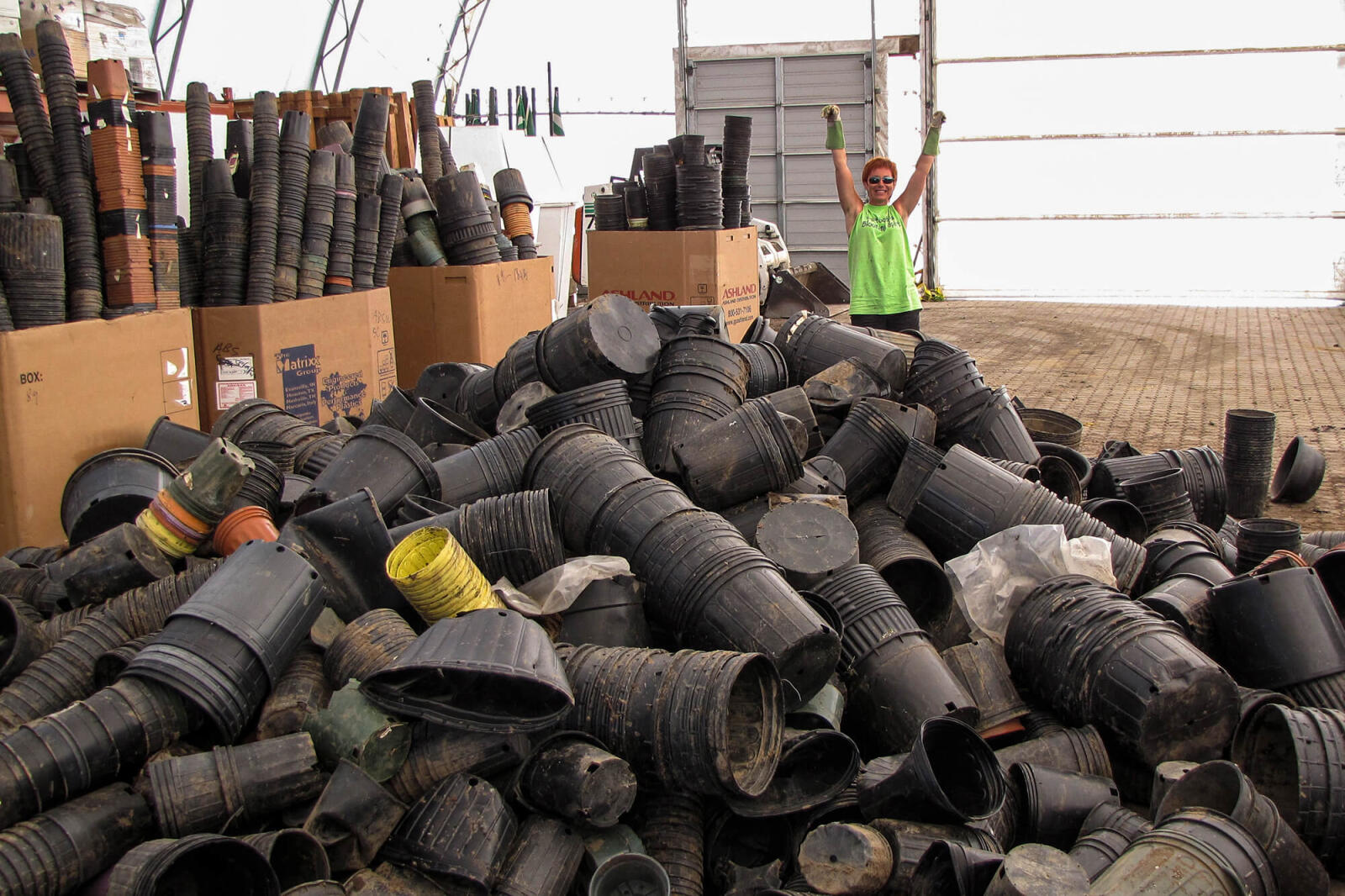 Over 120 skids of plastic were collected during National Plastic Recycling Week. In photo, Agnes Zawartka of CNLA is ready to sort another load of plastic pots.