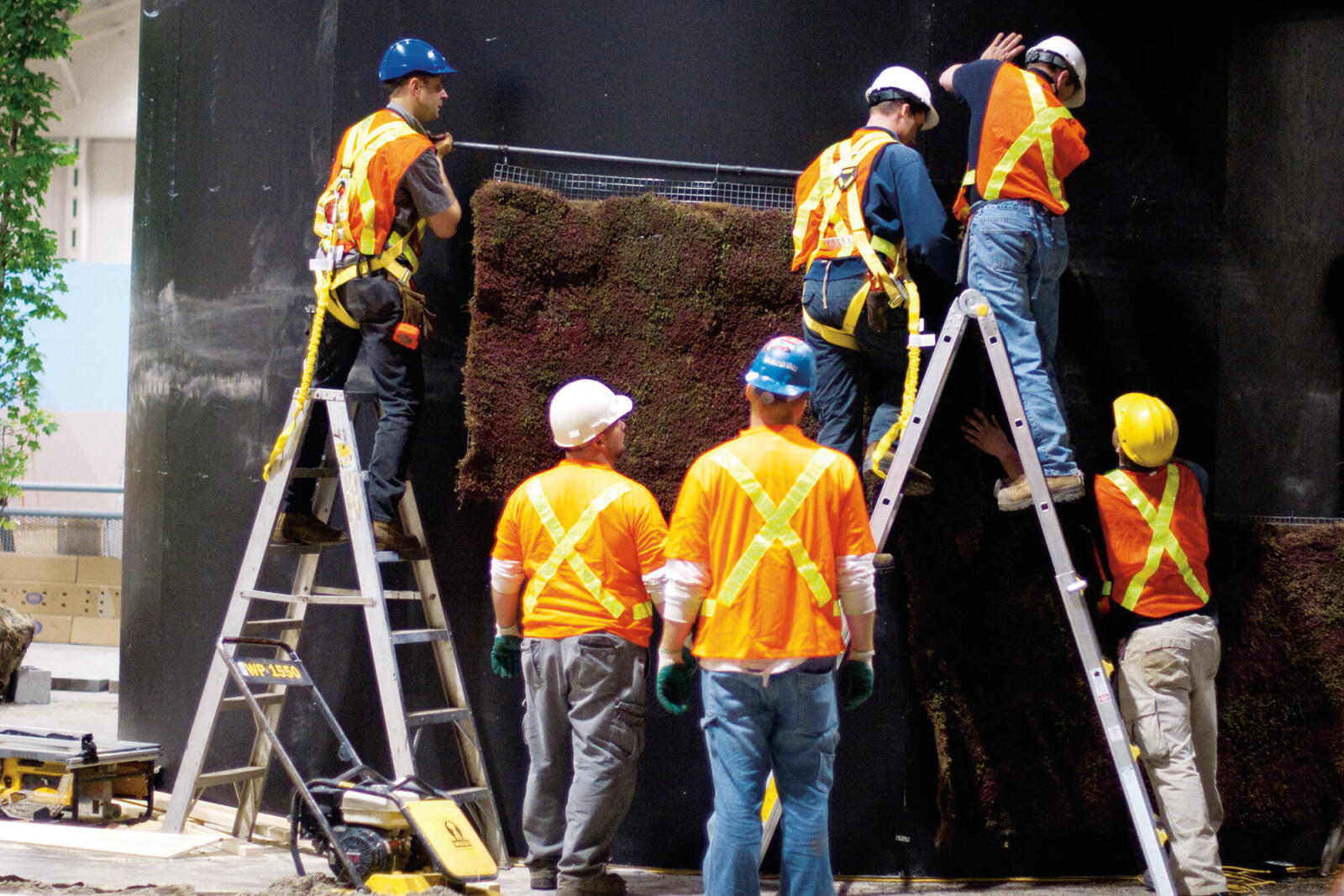 Call goes out to join garden build at Canada Blooms