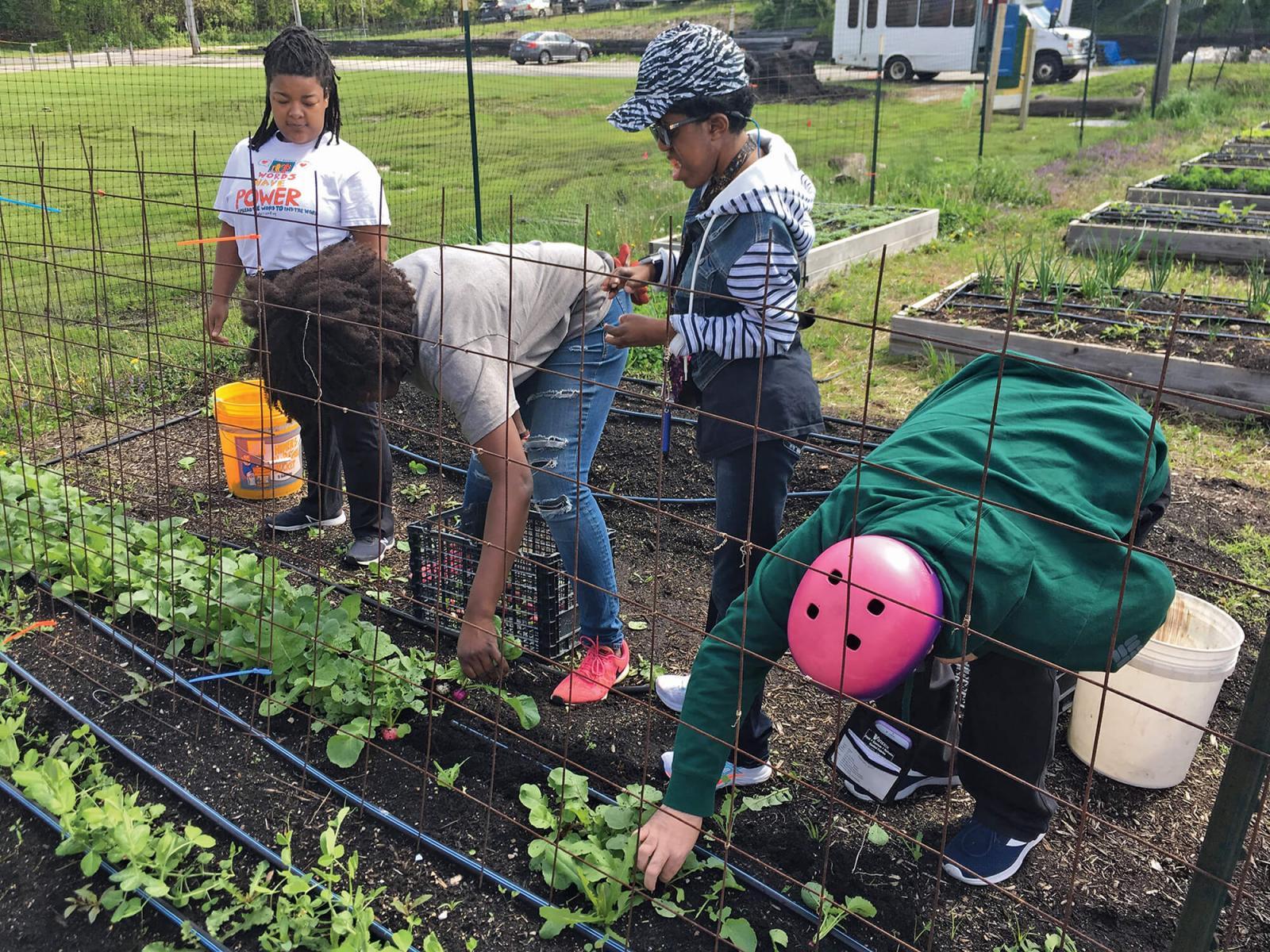 Voting opens for NGB garden grant