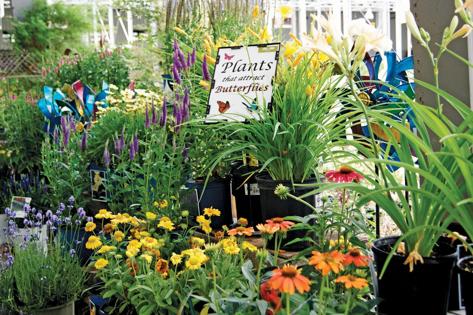 Suggesting emotional connections to plants consistently promotes sales.