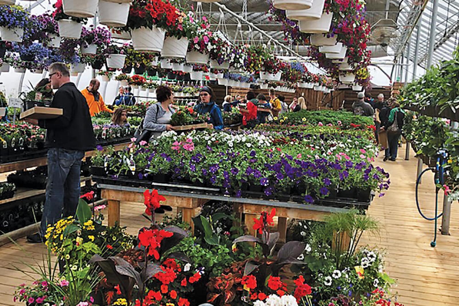 Where quality, service and selection are emphasized, retail garden centres continue to do well. 
