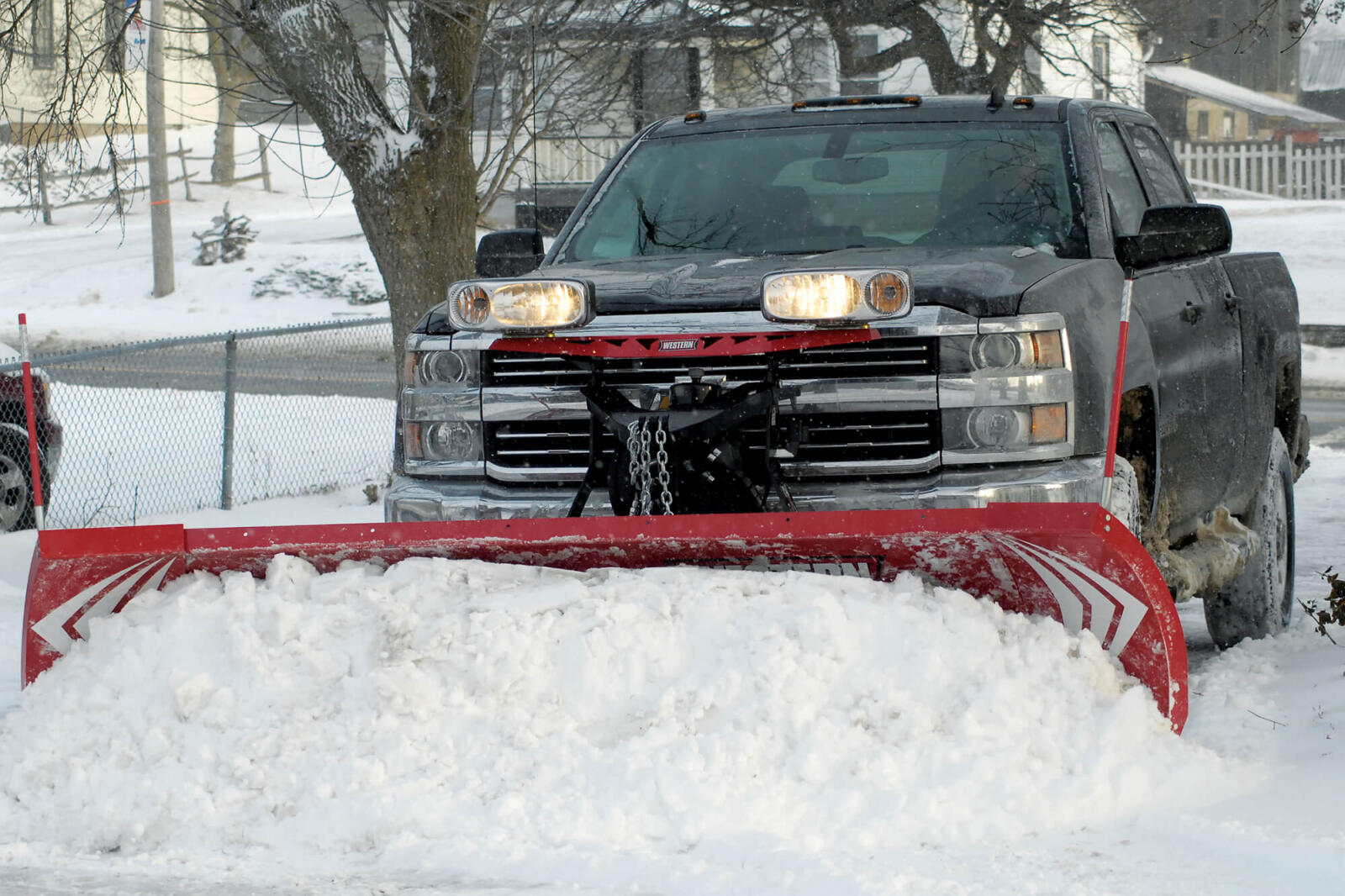 Snowpoisum returns to LO home office