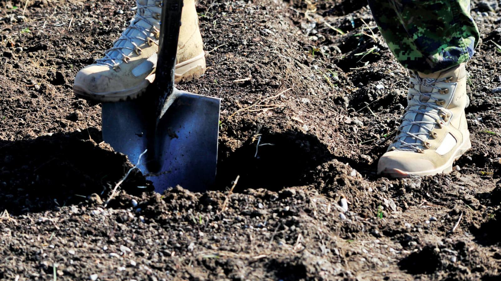 Improving soils for success