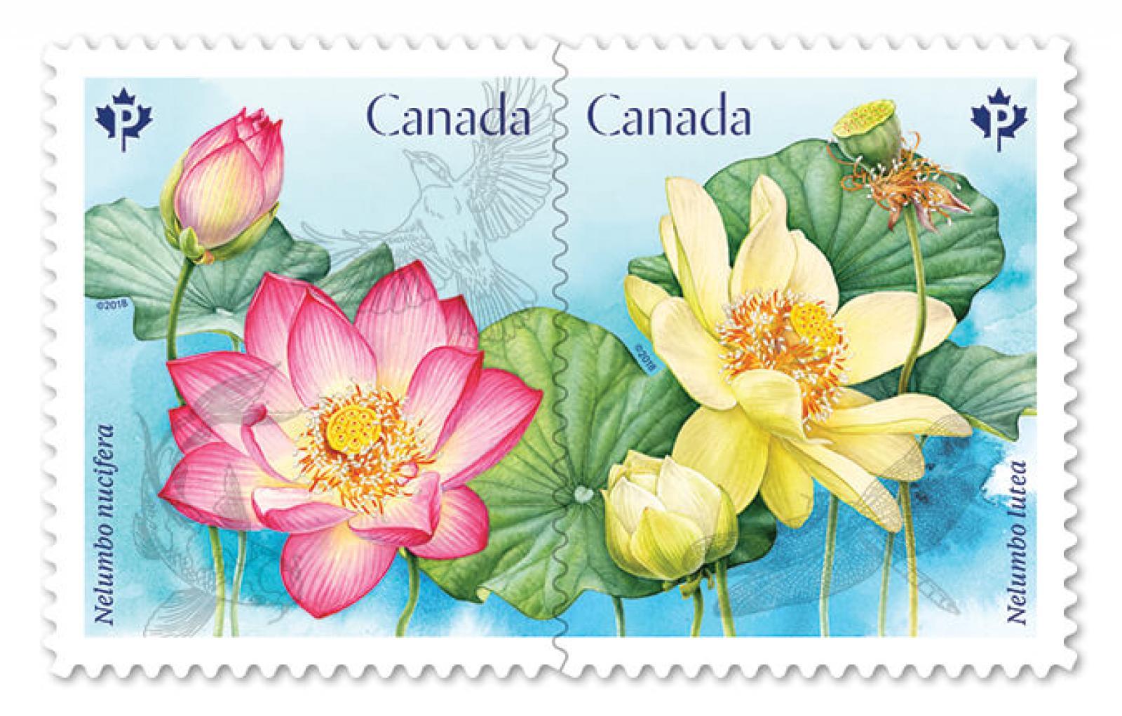 Canada Post launches flower stamp