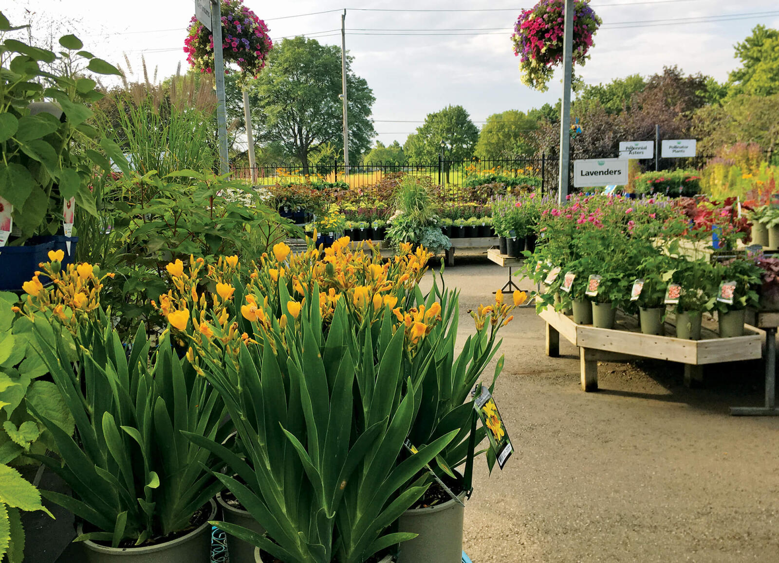 front-line-flexible-landscape-ontario