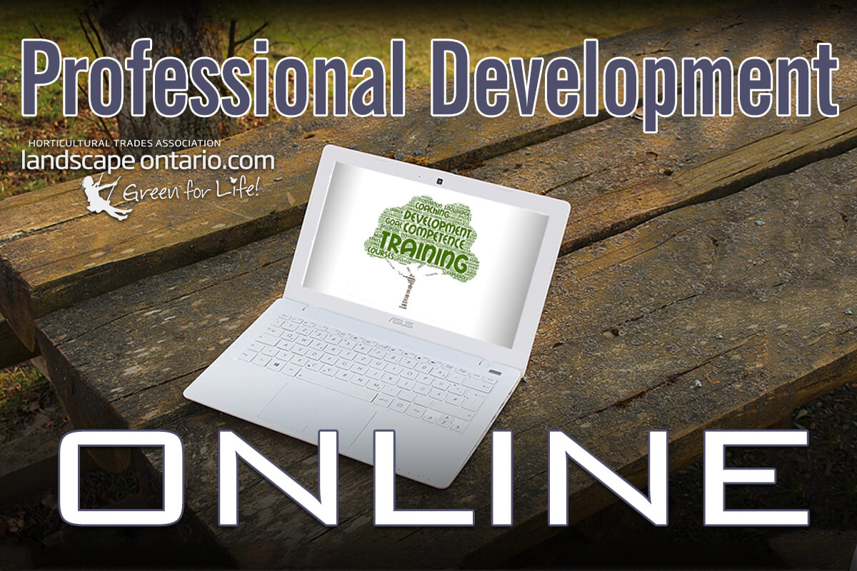 Professional Development Online