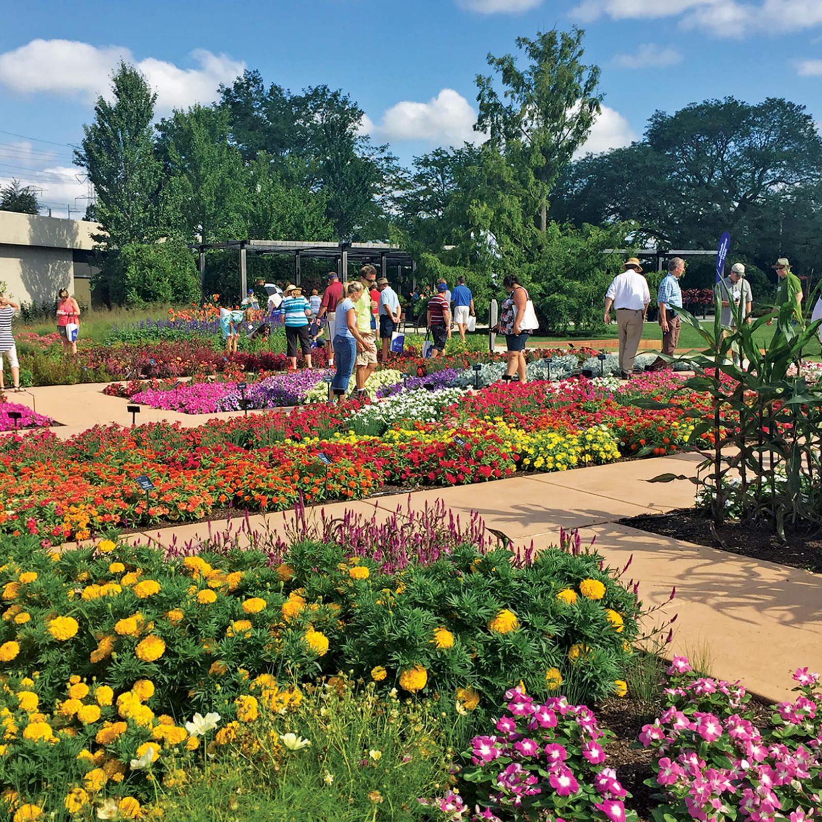 Ball Seed’s Field Day and Landscape Day provides attendees the opportunity to view trial gardens for new plants and meet and learn from industry experts.