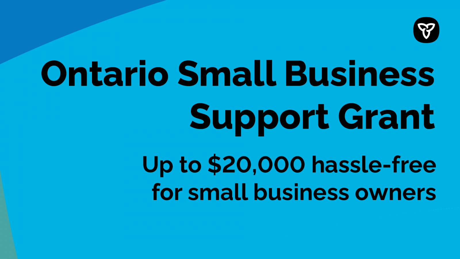 Ontario Small Business Support Grant