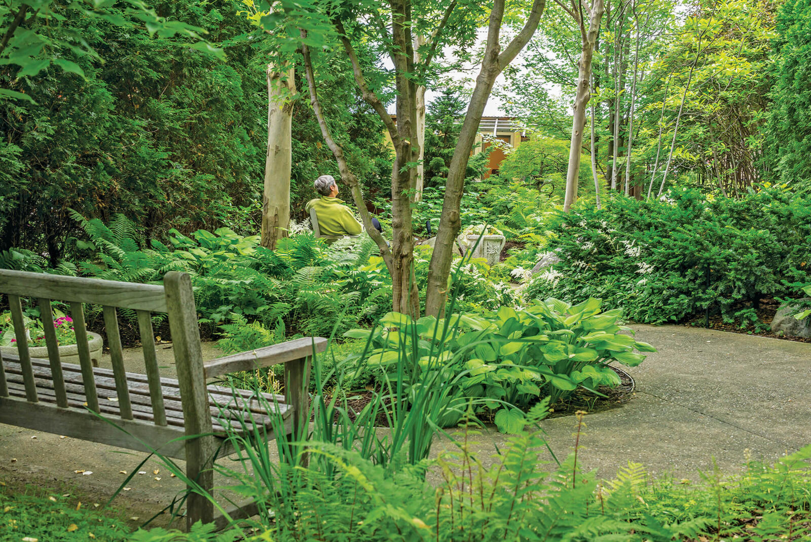 Healing gardens, the power of nature