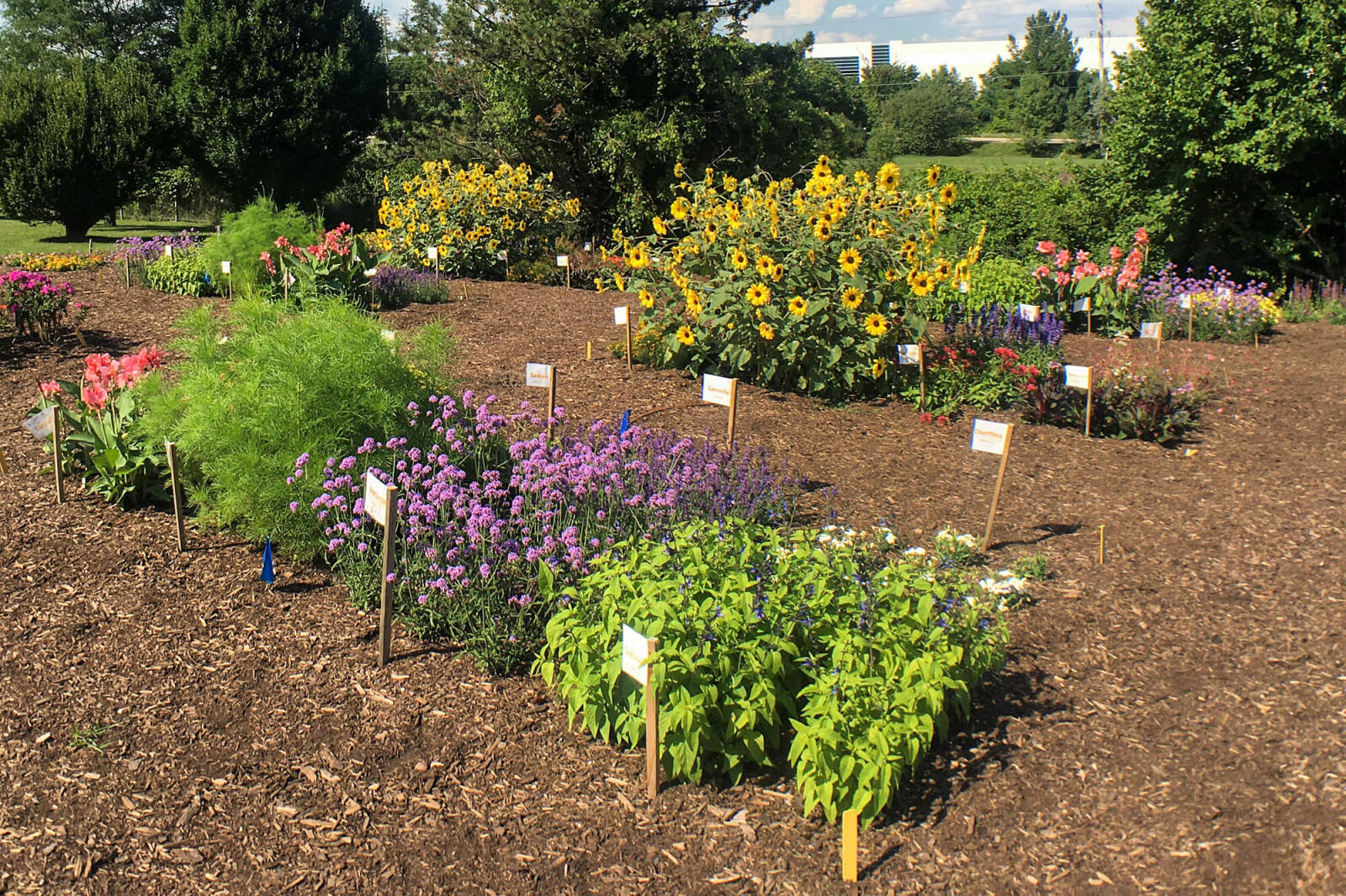 Helping homeowners help bees