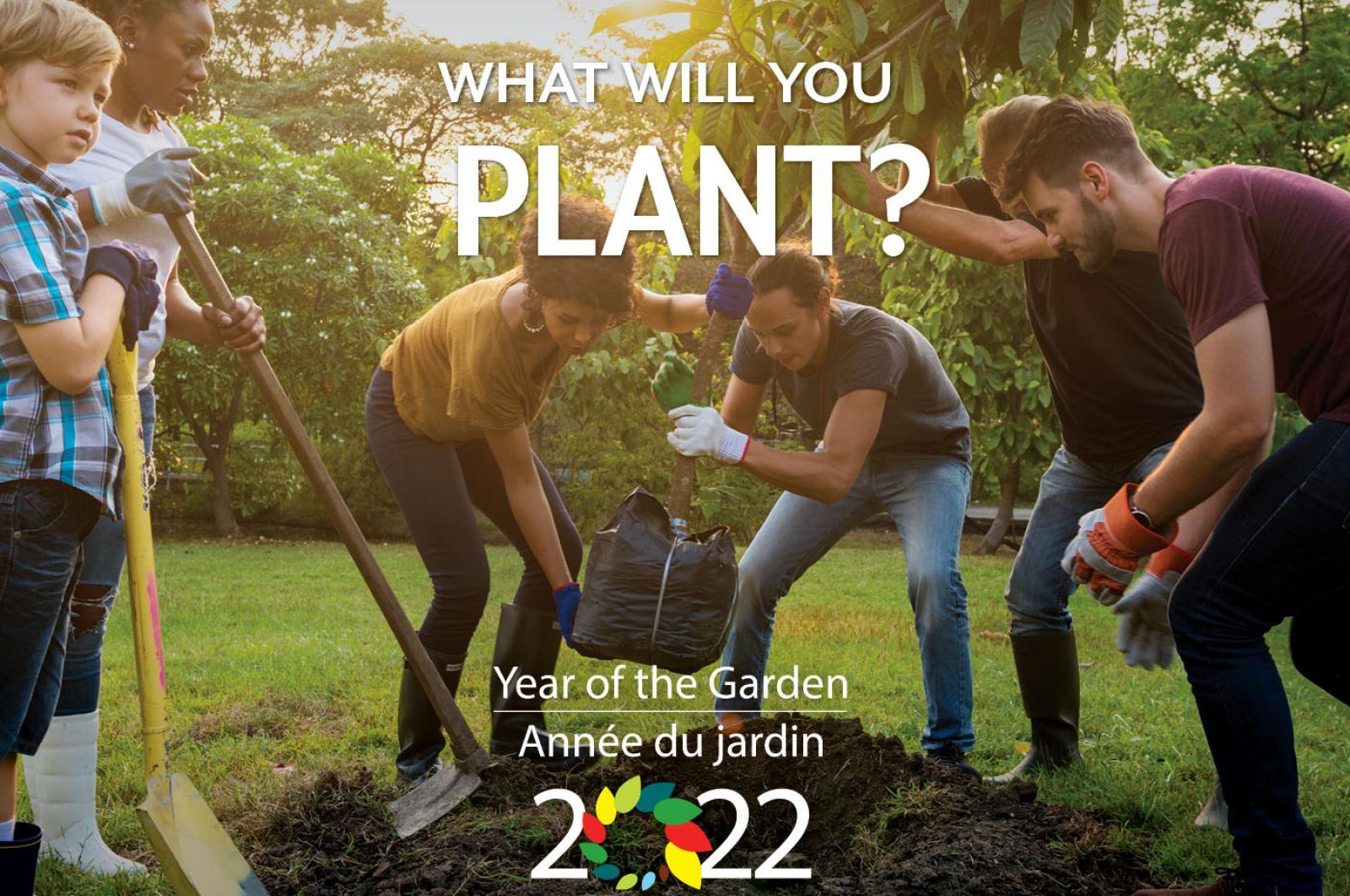 Year of the Garden 2022