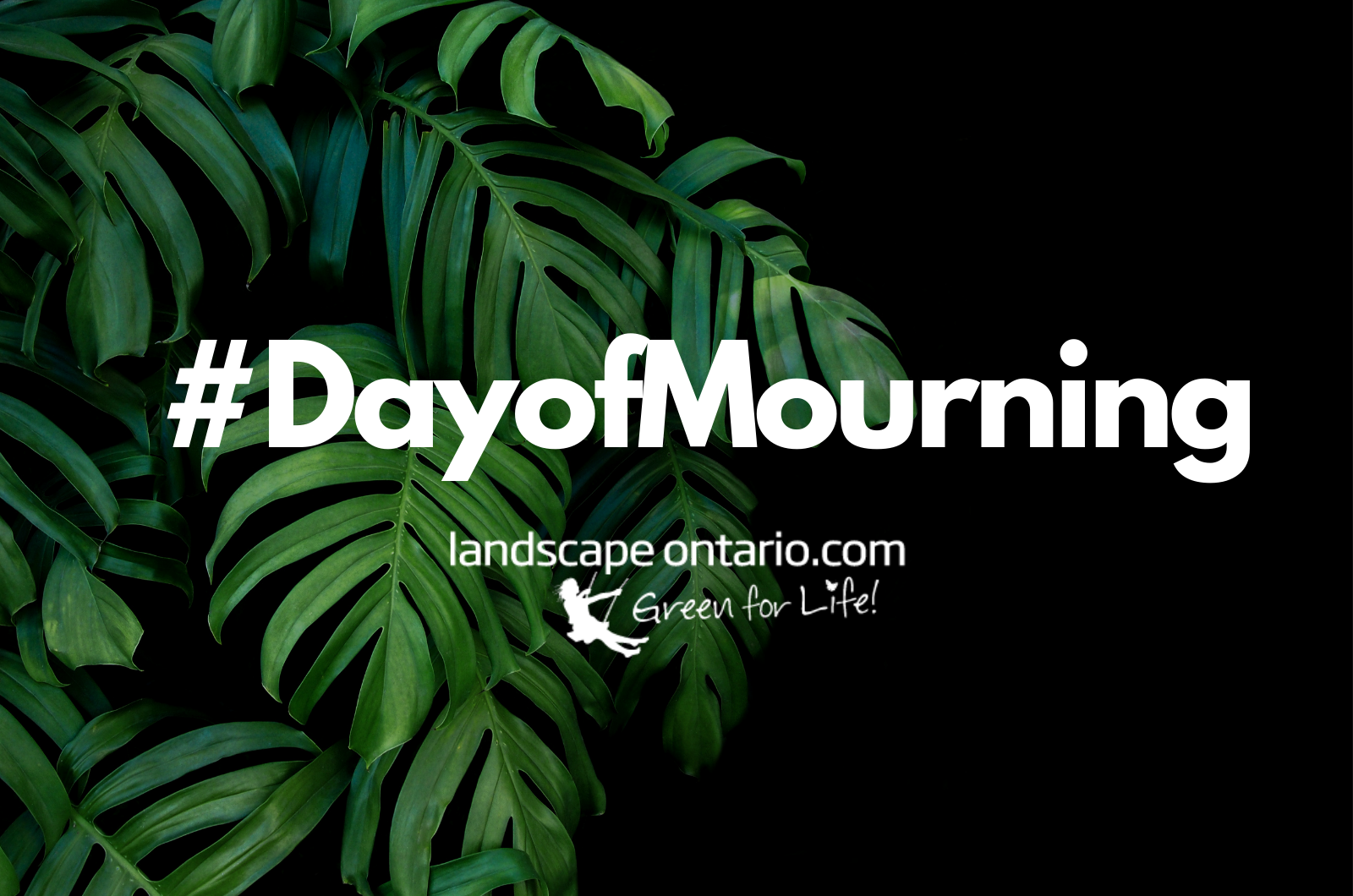 National Day of Mourning 2021