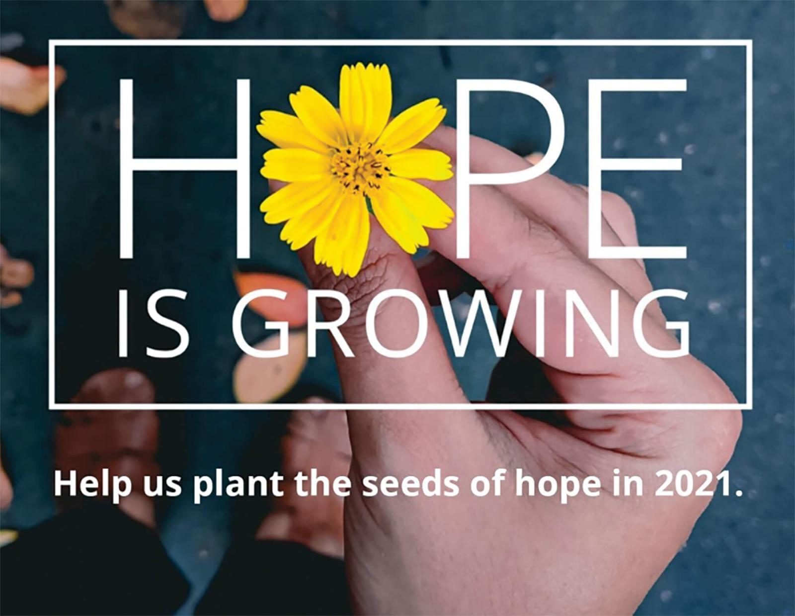 Planting hope from coast to coast