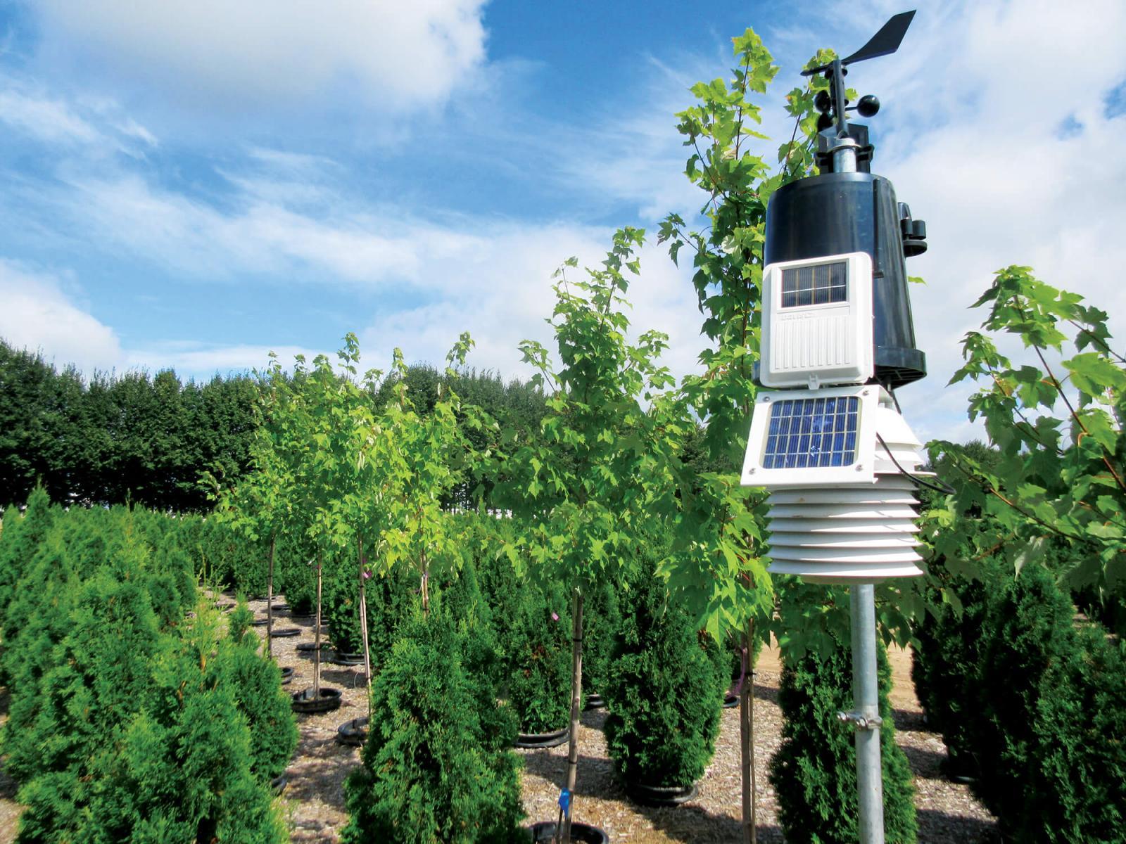 While it is not practical for growers to install and monitor stem psychrometer sensors, research will determine species-specific coefficients that can be used with a weather station for field applications.