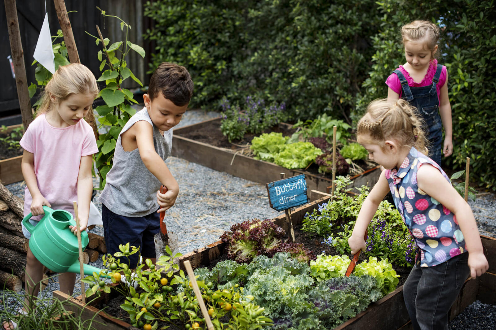 Top four benefits of raised garden beds