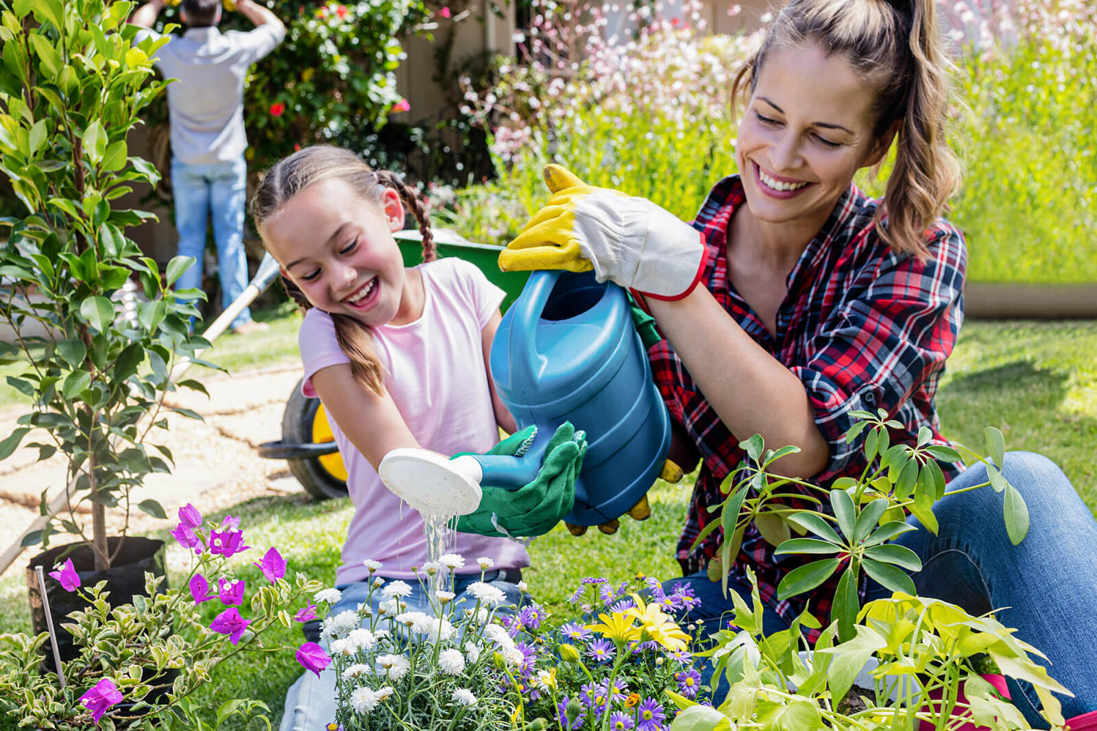 Help your garden to beat the heat