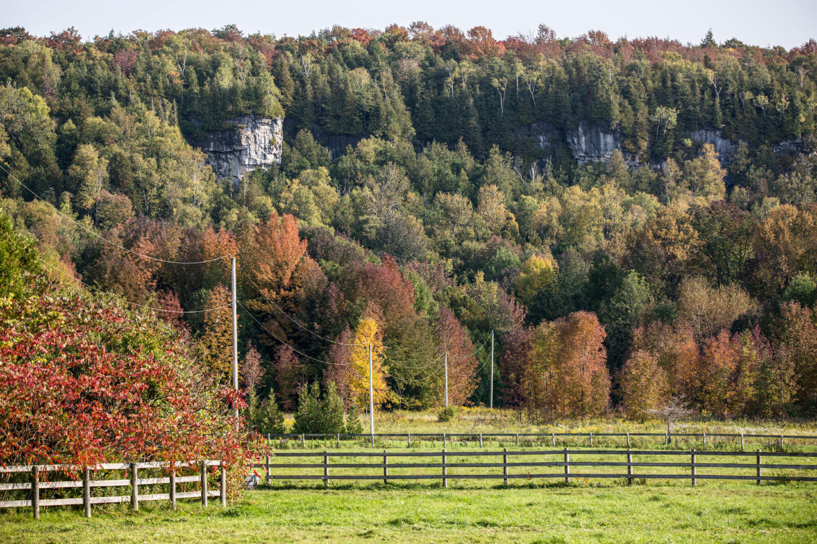 Niagara Escarpment Commission guidance materials for review