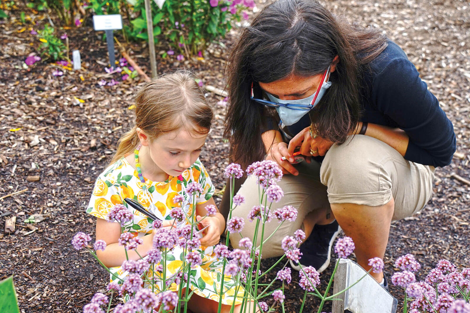 Trial Gardens open doors to new ideas