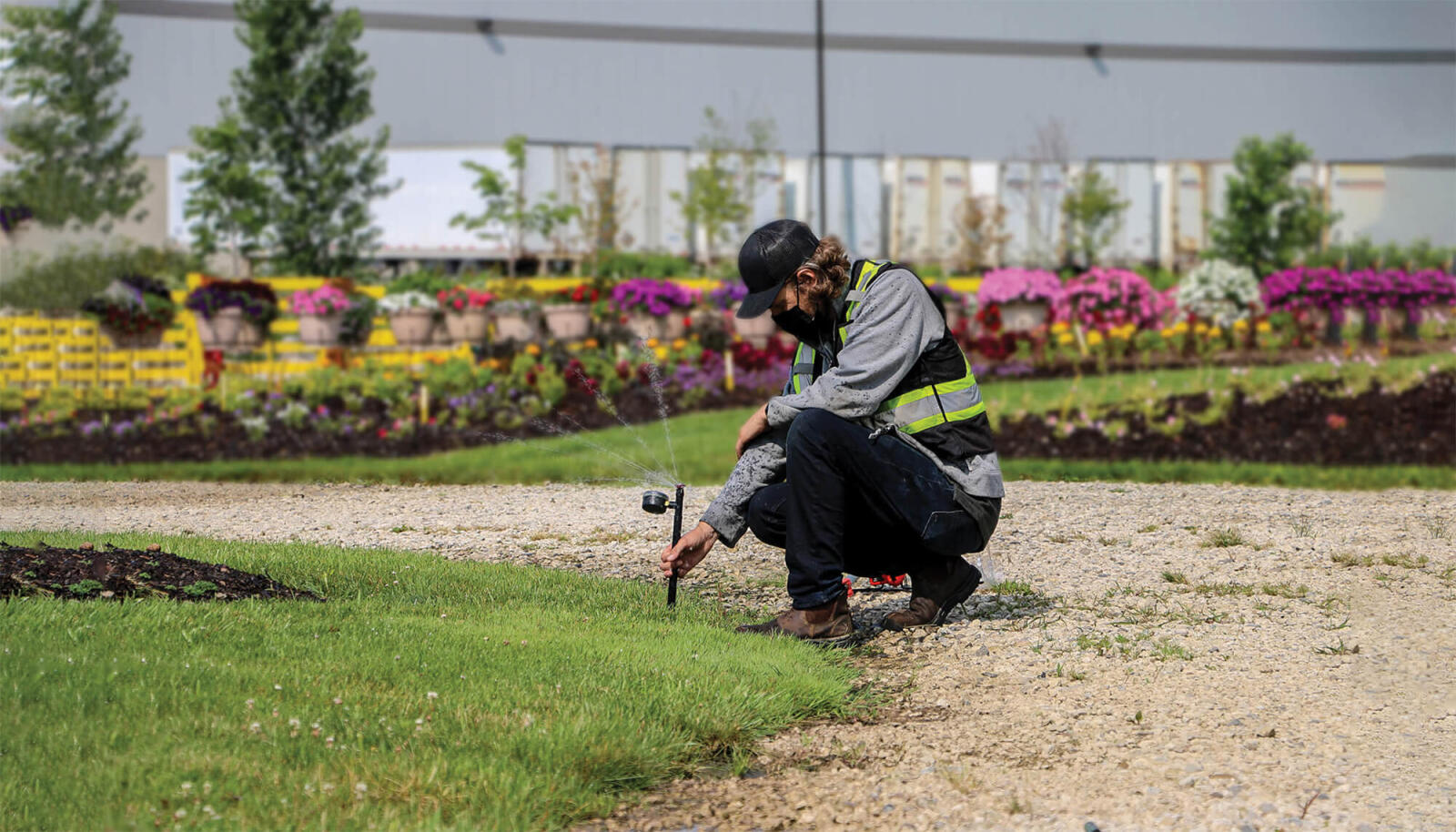 New irrigation system passes the test