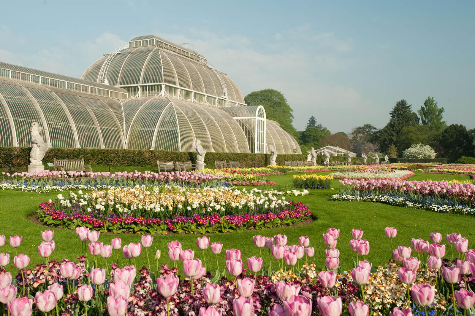 Virtually tour the Royal Botanic Gardens Kew in London, England during day two of the Congress Conference. Photo courtesy of RBG Kew. 