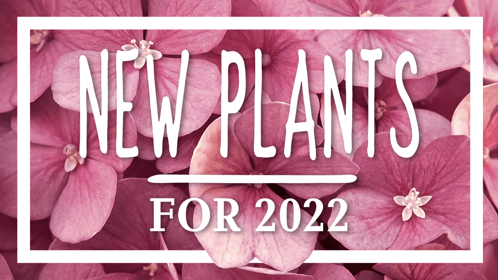 New plants for 2022