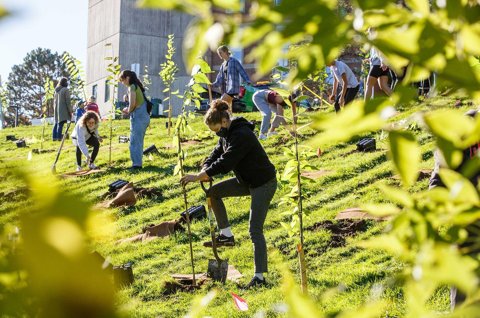 Trees for Life helps university reduce its carbon footprint