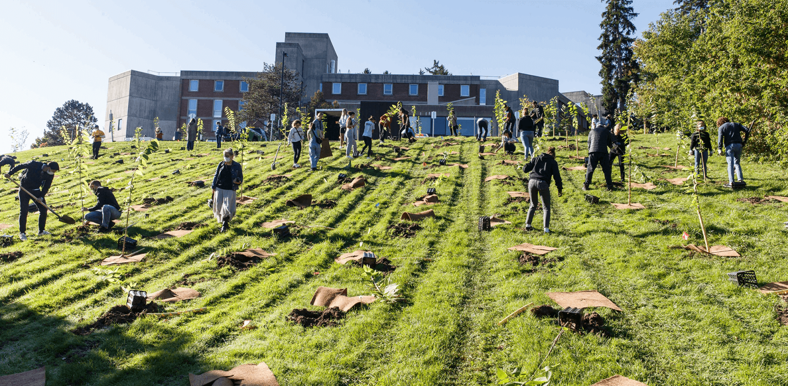 Trees for Life helps university reduce its carbon footprint