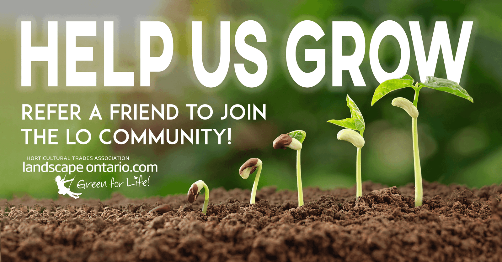 Refer a friend to join the LO community