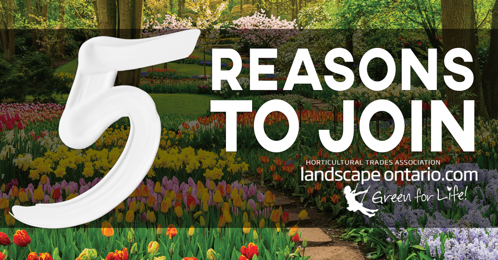 5 reasons to join Landscape Ontario