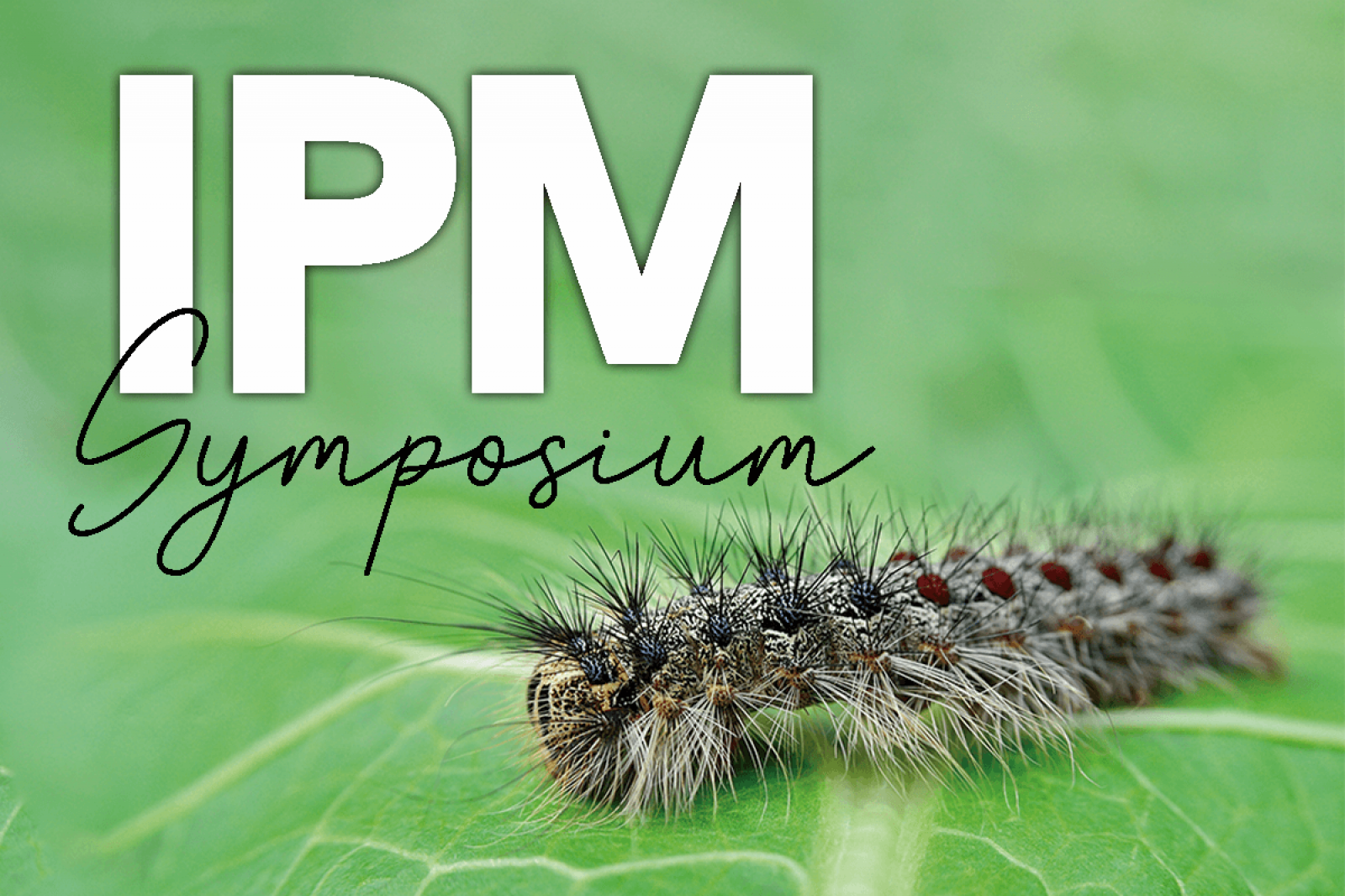 Virtual IPM Symposium set for January 5