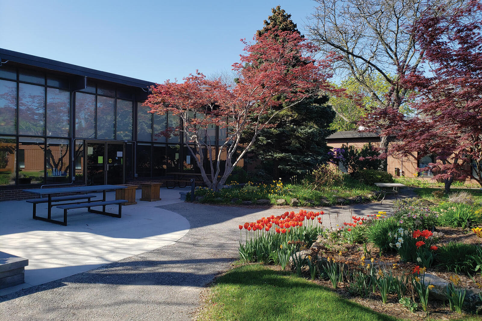 Spring cleanup at Participation House Markham