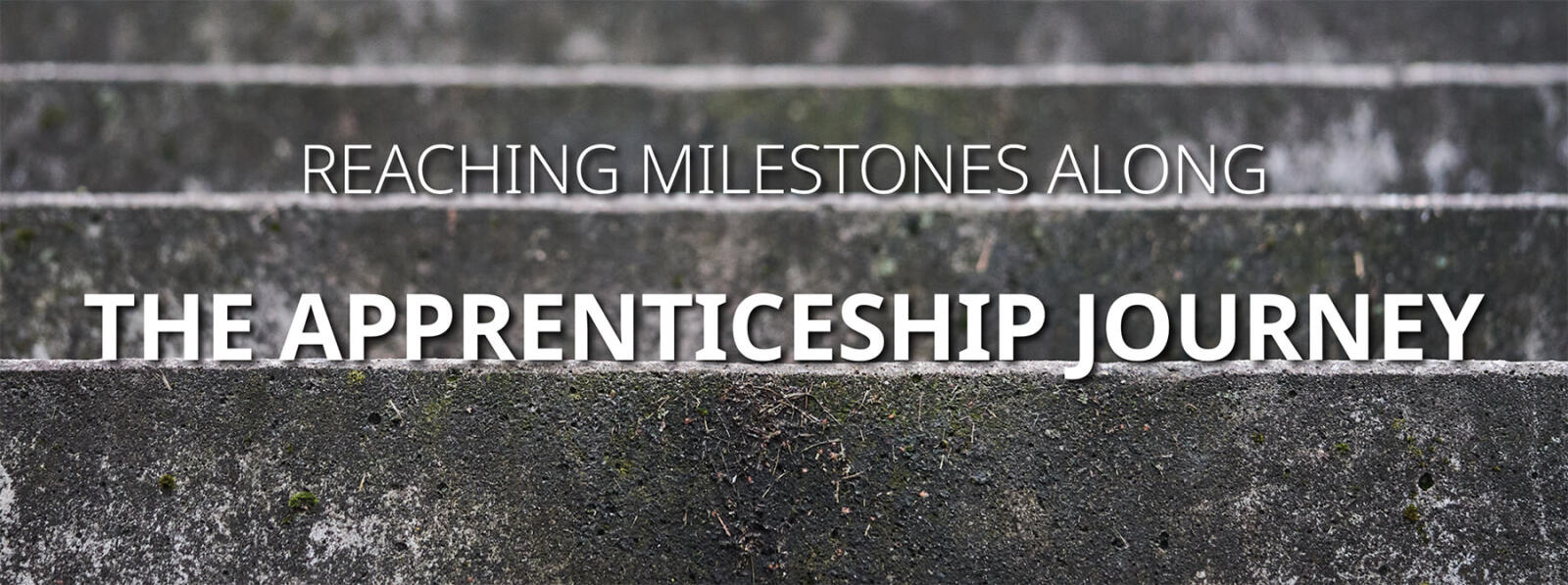 Reaching milestones along the apprenticeship journey