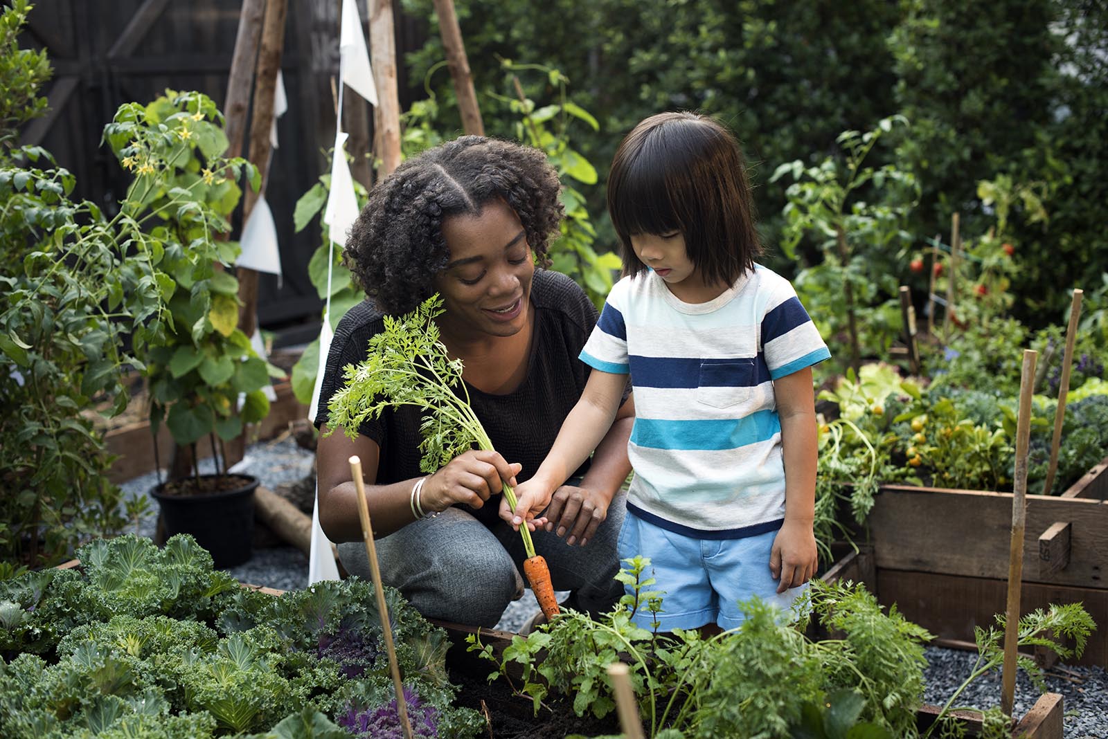 Plants to grow all summer long