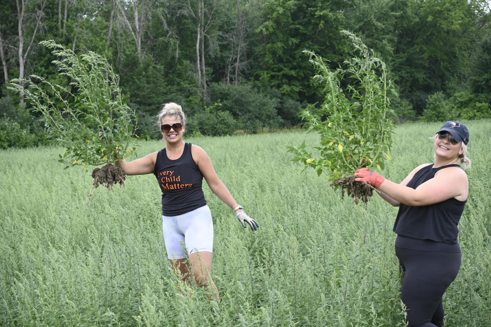 Anishnabeg Outreach Creates Reconciliation Garden Landscape Ontario