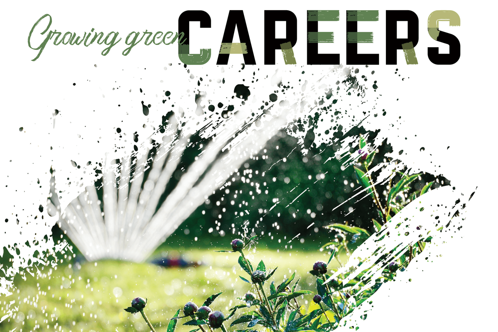 Growing green careers: Verdant Landscape & Design supports apprenticeship