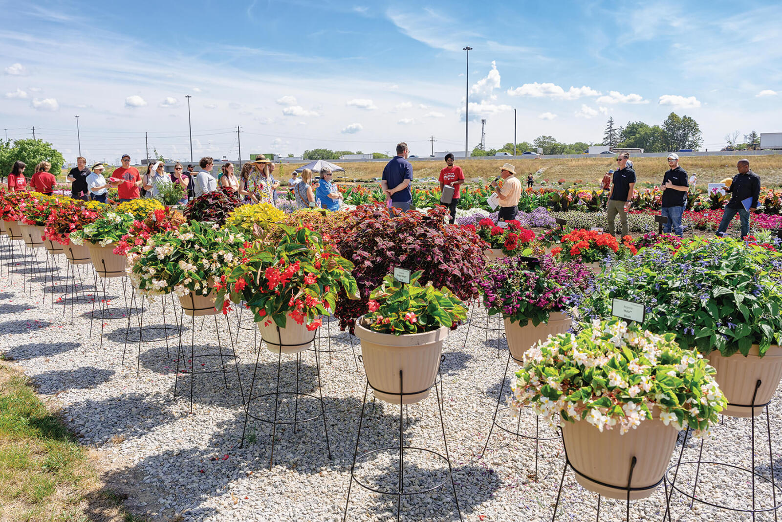 Educational format returns to 2022 Trial Garden Open House