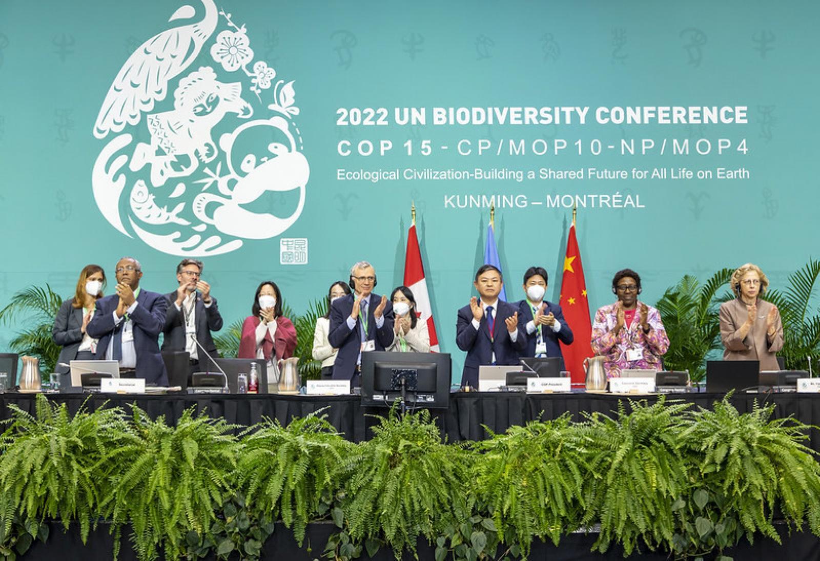 Global Biodiversity Framework adopted at COP15