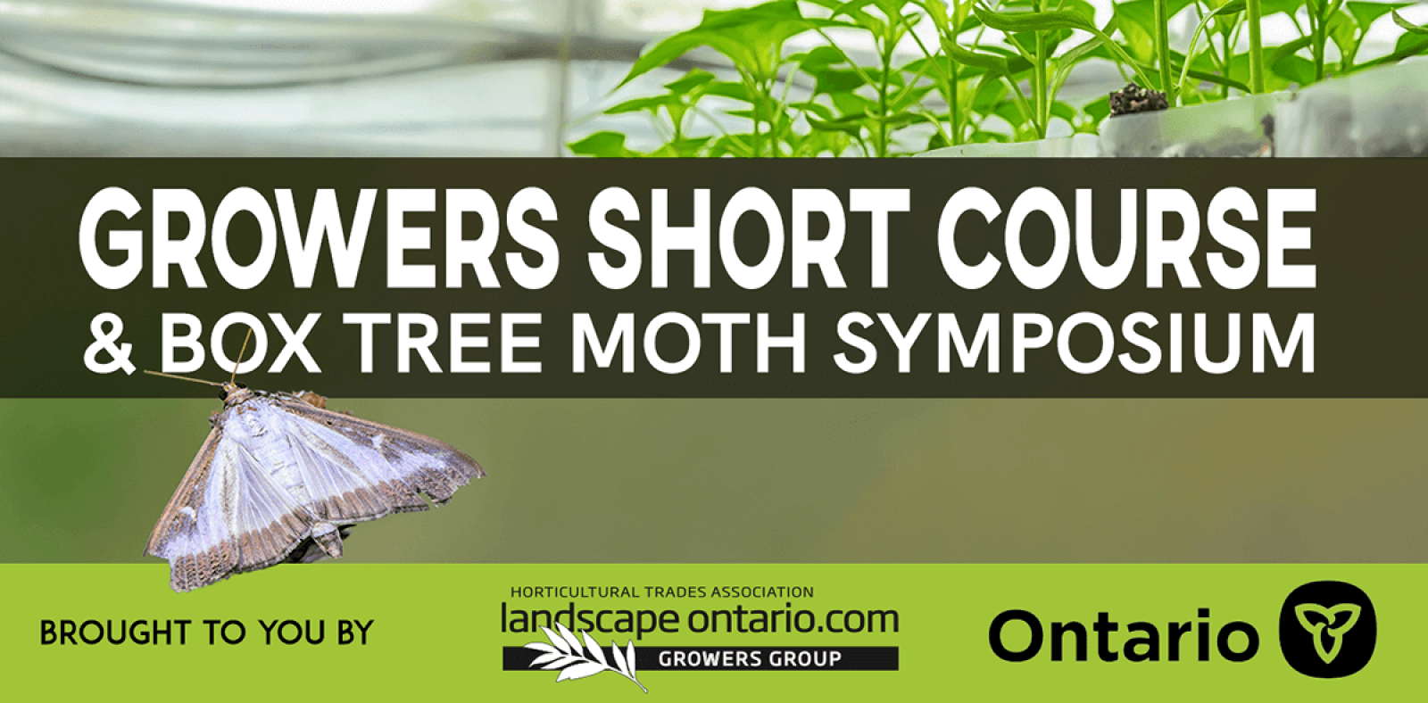Nursery Growers Short Course & Box Tree Moth Symposium 2023