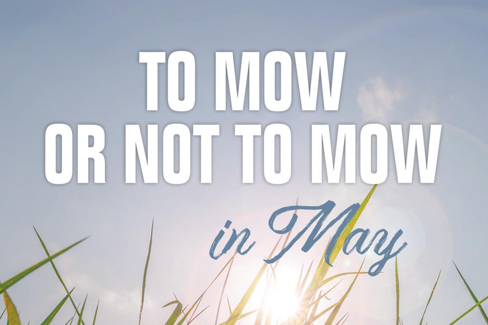 To mow or not to mow in May