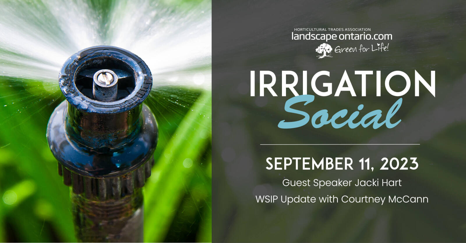 Irrigation Sector September Social