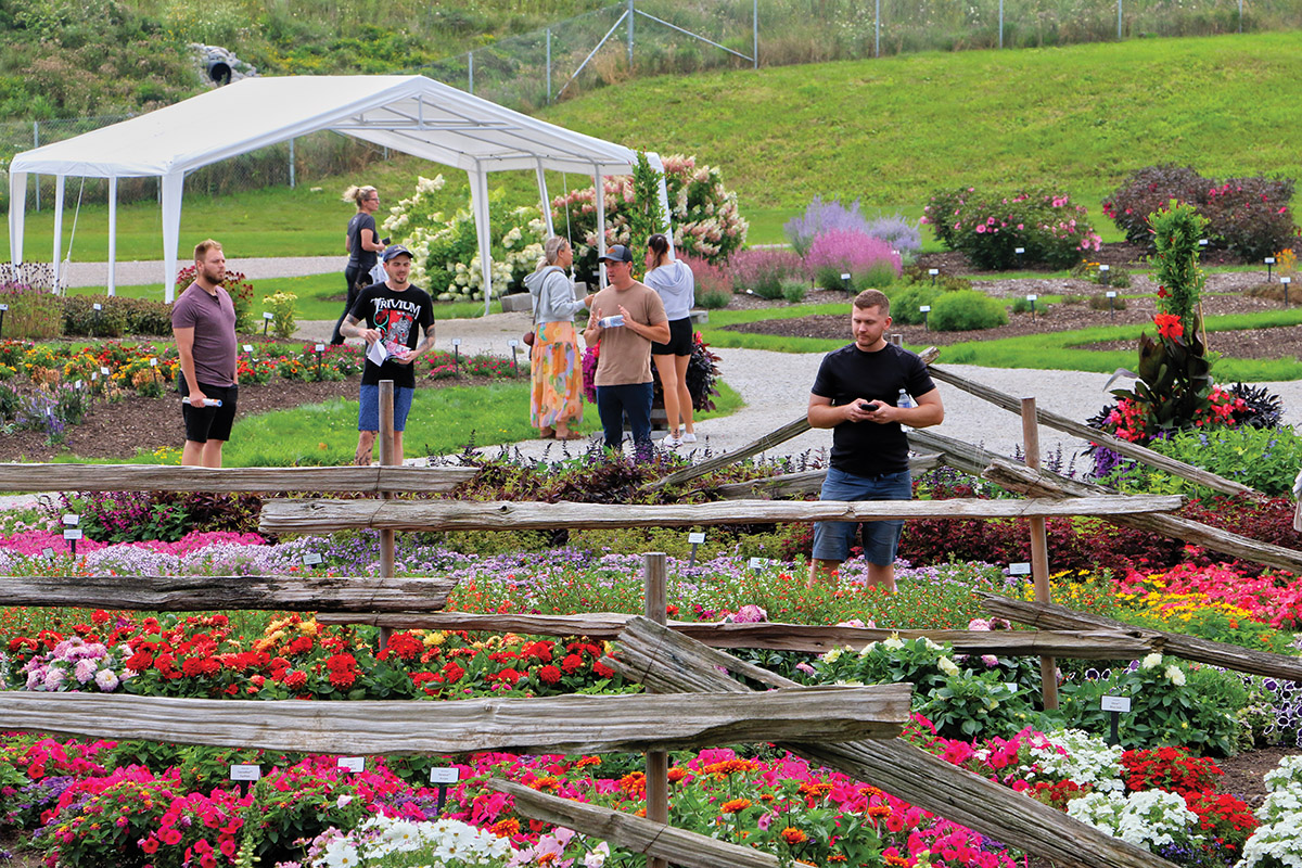 New plants showcased  at Landscape Ontario head office