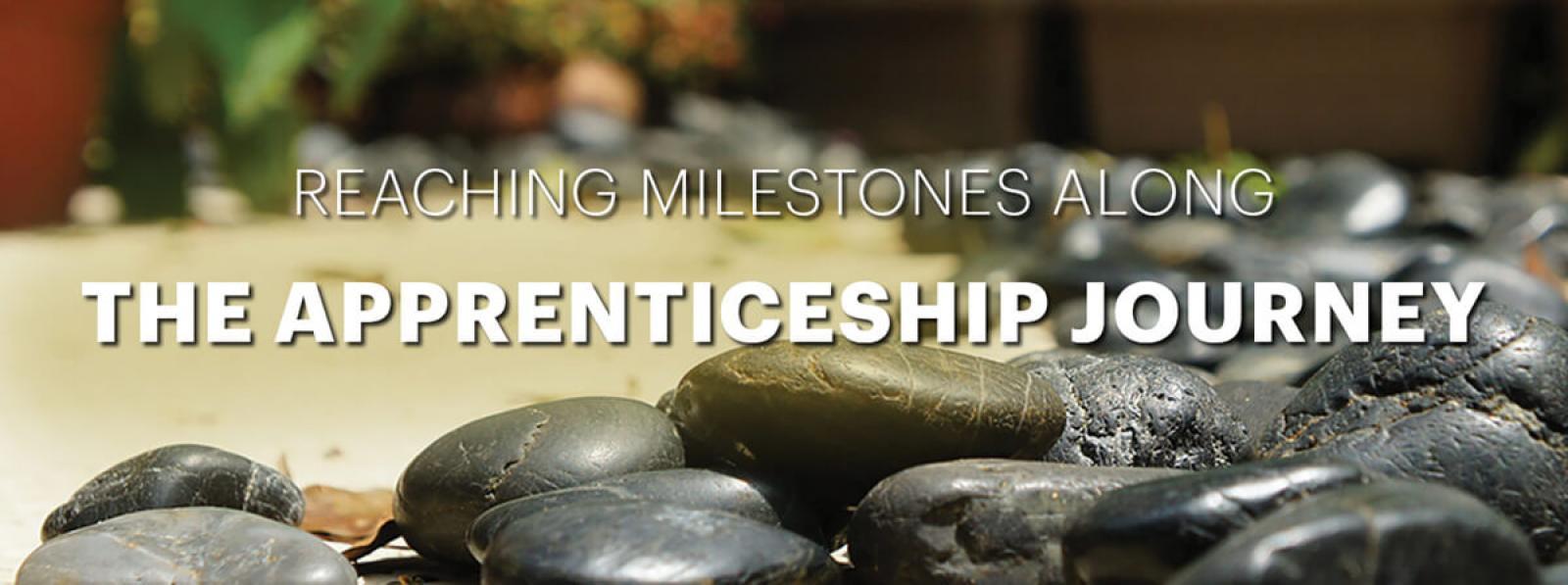 Reaching milestones along the apprenticeship journey 2023