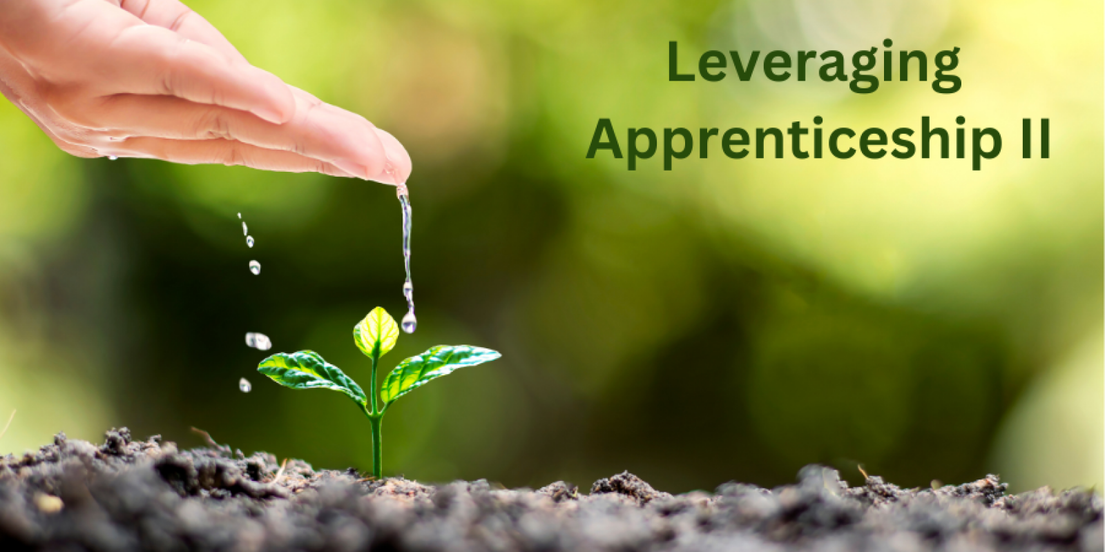 Leveraging Apprenticeship 2: An Employer Event