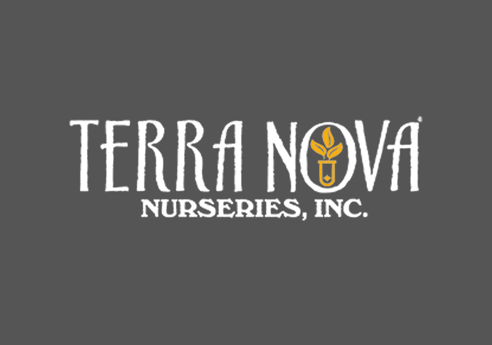 Terra Nova releases Colours of the Year