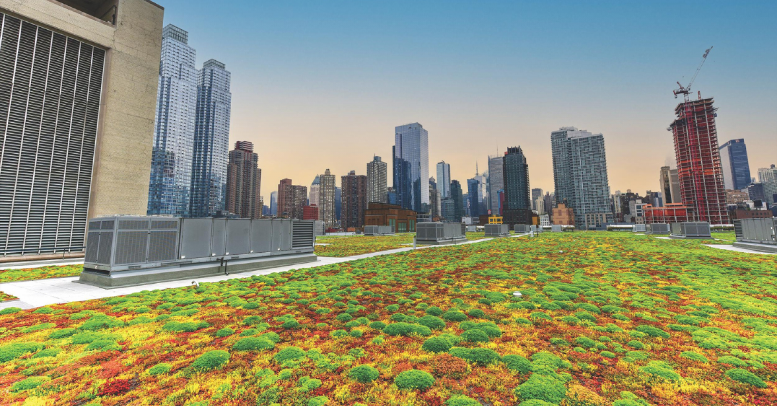 Toronto's green roof bylaw keeps on giving